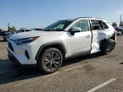 JTMB6RFV4RD134028 2024 TOYOTA RAV 4