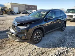JTMB6RFV4RD138676 2024 TOYOTA RAV 4