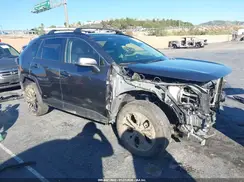 JTMB6RFV4RD140136 2024 TOYOTA RAV 4