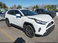 JTMB6RFV4RD565310 2024 TOYOTA RAV 4