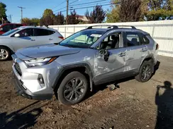 JTMB6RFV4RD568854 2024 TOYOTA RAV 4