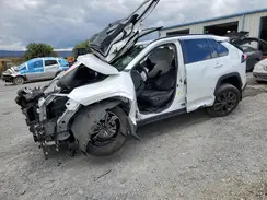 JTMB6RFV4RJ044105 2024 TOYOTA RAV 4