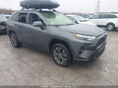 JTMB6RFV5PD080302 2023 TOYOTA RAV 4