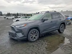 JTMB6RFV5PD087282 2023 TOYOTA RAV 4
