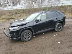 JTMB6RFV5PD097262 2023 TOYOTA RAV 4
