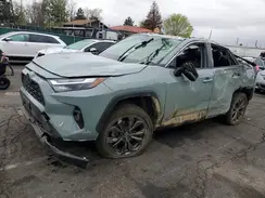 JTMB6RFV5PD102430 2023 TOYOTA RAV 4