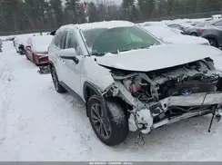 JTMB6RFV5PD538923 2023 TOYOTA RAV 4
