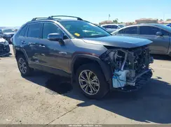 JTMB6RFV5PJ028489 2023 TOYOTA RAV 4