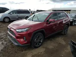 JTMB6RFV5RD127315 2024 TOYOTA RAV 4