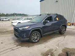 JTMB6RFV5RD131140 2024 TOYOTA RAV 4