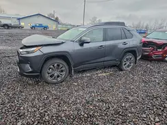 JTMB6RFV5RD138556 2024 TOYOTA RAV 4