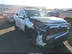 JTMB6RFV5RJ047787 2024 TOYOTA RAV 4