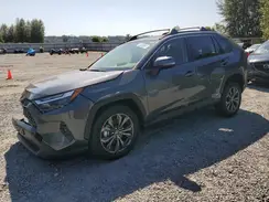 JTMB6RFV5SD164225 2025 TOYOTA RAV 4