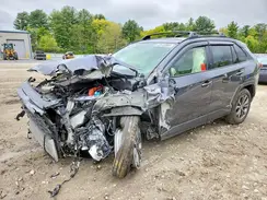 JTMB6RFV5SD164998 2025 TOYOTA RAV 4