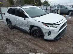 JTMB6RFV5SJ065261 2025 TOYOTA RAV 4