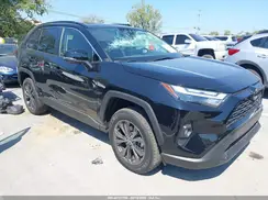 JTMB6RFV5SJ094968 2025 TOYOTA RAV 4