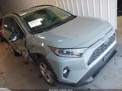 JTMB6RFV6MD044209 2021 TOYOTA RAV 4
