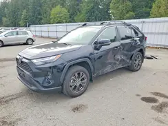 JTMB6RFV6ND518791 2022 TOYOTA RAV 4