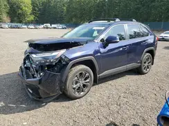 JTMB6RFV6PD099179 2023 TOYOTA RAV 4