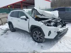 JTMB6RFV6PD112934 2023 TOYOTA RAV 4