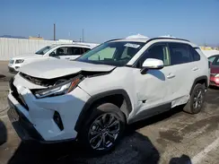 JTMB6RFV6PD546044 2023 TOYOTA RAV 4