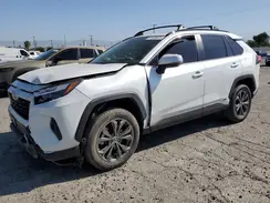 JTMB6RFV6RD120633 2024 TOYOTA RAV 4