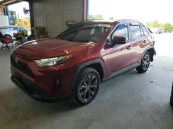 JTMB6RFV6RD123578 2024 TOYOTA RAV 4