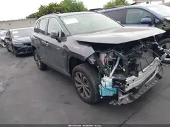 JTMB6RFV6RD125833 2024 TOYOTA RAV 4