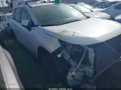 JTMB6RFV6RD131566 2024 TOYOTA RAV 4