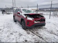JTMB6RFV6RD141823 2024 TOYOTA RAV 4