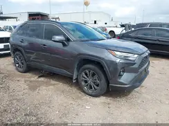 JTMB6RFV6RD151316 2024 TOYOTA RAV 4