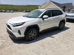 JTMB6RFV6RJ054943 2024 TOYOTA RAV 4