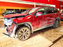 JTMB6RFV6SD155713 2025 TOYOTA RAV 4