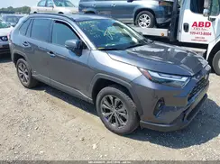 JTMB6RFV6SJ090069 2025 TOYOTA RAV 4