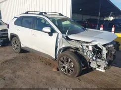 JTMB6RFV7PJ032916 2023 TOYOTA RAV 4