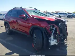 JTMB6RFV7RD117479 2024 TOYOTA RAV 4