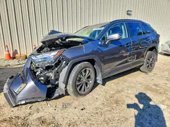 JTMB6RFV7RD127509 2024 TOYOTA RAV 4