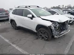 JTMB6RFV7RD133911 2024 TOYOTA RAV 4