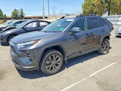 JTMB6RFV7RD137621 2024 TOYOTA RAV 4