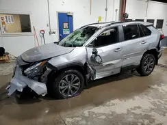 JTMB6RFV7RD150532 2024 TOYOTA RAV 4