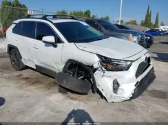 JTMB6RFV7RD550381 2024 TOYOTA RAV 4
