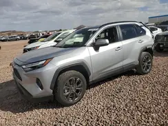 JTMB6RFV7RJ044969 2024 TOYOTA RAV 4