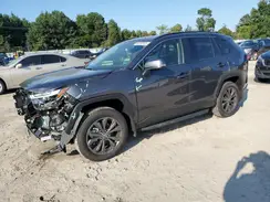 JTMB6RFV7SD164503 2025 TOYOTA RAV 4
