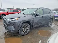 JTMB6RFV7SJ084345 2025 TOYOTA RAV 4