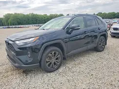 JTMB6RFV8ND051955 2022 TOYOTA RAV 4