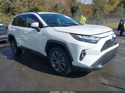 JTMB6RFV8PD084697 2023 TOYOTA RAV 4