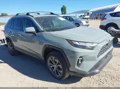 JTMB6RFV8PD094260 2023 TOYOTA RAV 4