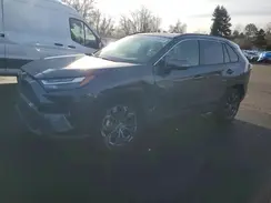 JTMB6RFV8PD107489 2023 TOYOTA RAV 4