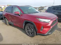 JTMB6RFV8PD114927 2023 TOYOTA RAV 4