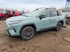 JTMB6RFV8PD542934 2023 TOYOTA RAV 4